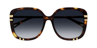 Chloé CH0106SA women Havana Oversize Sunglasses