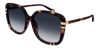 Chloé CH0106SA women Havana Oversize Sunglasses