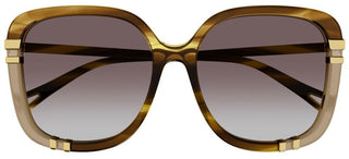 Chloé CH0106SA women Havana Oversize Sunglasses