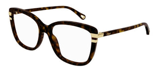 Chloé CH0119O women Havana Squared Eyeglasses