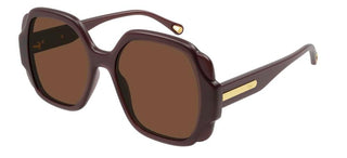 Chloé CH0121S women Brown Butterfly Sunglasses