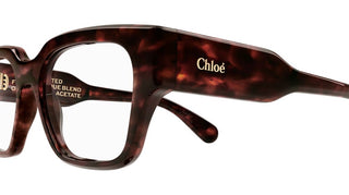 Chloé CH0150O women Havana Squared Eyeglasses