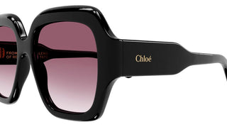 Chloé CH0154S women Black Butterfly Sunglasses