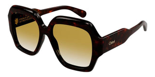 Chloé CH0154S women Havana Butterfly Sunglasses