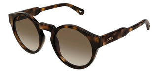 Chloé CH0158S women Havana Round Sunglasses