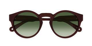 Chloé CH0158S women Brown Round Sunglasses