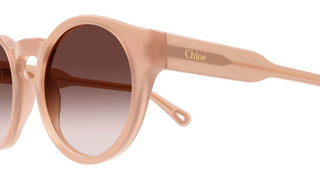 Chloé CH0158S women Brown Round Sunglasses