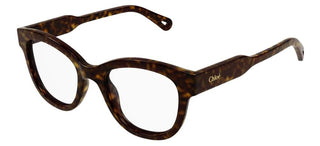 Chloé CH0162O women Havana Squared Eyeglasses