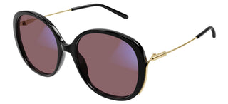 Chloé CH0172S women Black Oversize Sunglasses