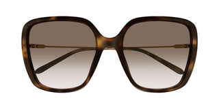 Chloé CH0173SA women Havana Oversize Sunglasses