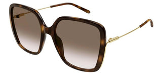 Chloé CH0173SA women Havana Oversize Sunglasses