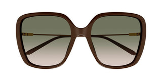 Chloé CH0173S women Brown Butterfly Sunglasses