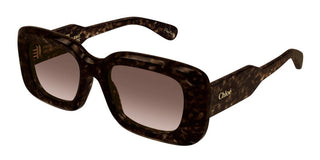 Chloé CH0188S women Havana Squared Sunglasses