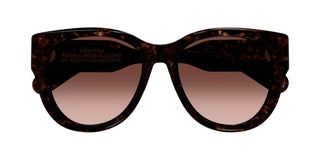 Chloé CH0192S women Brown Cat Eye Sunglasses