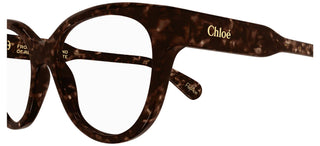 Chloé CH0193O women Havana Cat Eye Eyeglasses