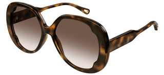 Chloé CH0195SK women Havana Butterfly Sunglasses