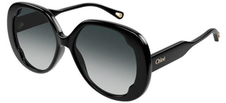 Chloé CH0195S women Black Butterfly Sunglasses