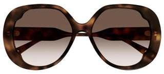 Chloé CH0195S women Havana Butterfly Sunglasses