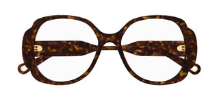 Chloé CH0196O women Havana Butterfly Eyeglasses