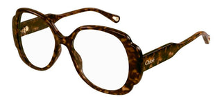 Chloé CH0196O women Havana Butterfly Eyeglasses