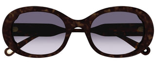 Chloé CH0197SA women Havana Round Sunglasses