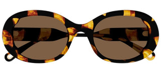 Chloé CH0197SA women Havana Round Sunglasses