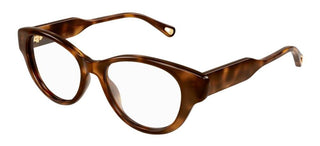 Chloé CH0199O women Havana Cat Eye Eyeglasses