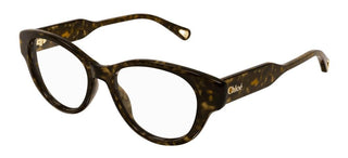 Chloé CH0199O women Havana Cat Eye Eyeglasses