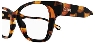 Chloé CH0200O women Havana Cat Eye Eyeglasses