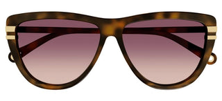 Chloé CH0203S women Havana Squared Sunglasses