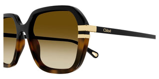 Chloé CH0204S women Black Round Sunglasses