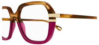 Chloé CH0205O women Havana Squared Eyeglasses