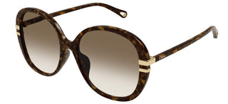 Chloé CH0207SK women Havana Oversize Sunglasses