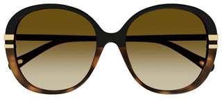 Chloé CH0207SK women Black Oversize Sunglasses