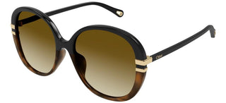 Chloé CH0207SK women Black Oversize Sunglasses