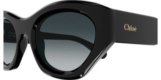 Chloé CH0220S women Black Cat Eye Sunglasses