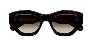 Chloé CH0220S women Havana Cat Eye Sunglasses