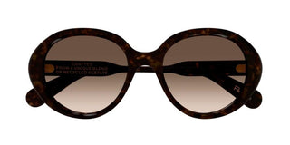 Chloé CH0221S women Havana Round Sunglasses