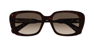 Chloé CH0225SK women Havana Squared Sunglasses