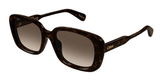 Chloé CH0225SK women Havana Squared Sunglasses