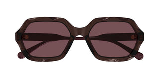 Chloé CH0227S women Violet Oversize Sunglasses