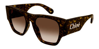 Chloé CH0233S women Havana Squared Sunglasses