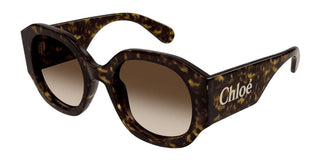 Chloé CH0234SK women Havana Oversize Sunglasses