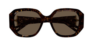 Chloé CH0236S women Havana Oversize Sunglasses