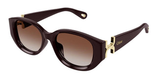 Chloé CH0237SK women Red Cat Eye Sunglasses