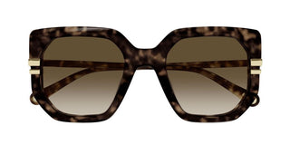 Chloé CH0240S women Havana Butterfly Sunglasses