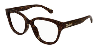 Chloé CH0243O women Havana Cat Eye Eyeglasses