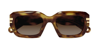 Chloé CH0256S women Havana Squared Sunglasses