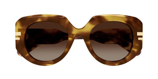 Chloé Ch0257s Women Havana Oversize Sunglasses