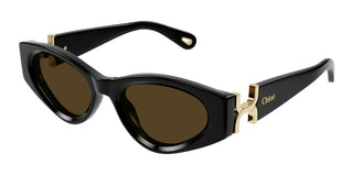 Chloé CH0259S women Black Cat Eye Sunglasses